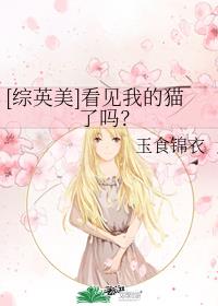 [综英美]看见我的猫了吗